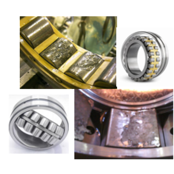 ROLLER BEARING MONITORING