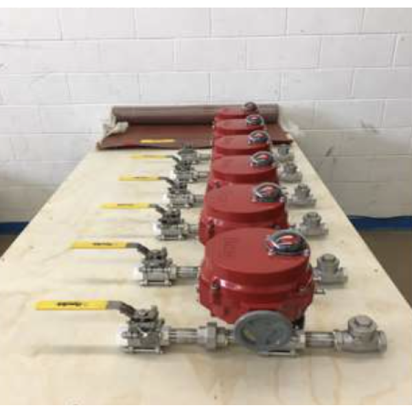 Valve Assemblies